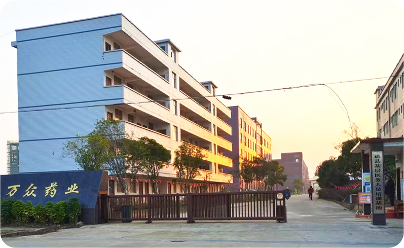 梦启与湖南万众制药有限公司合作官方网站建设定制服务